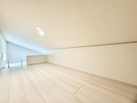 ���̑� ������+���̃X�y�[�X�I���t�g�t���I  