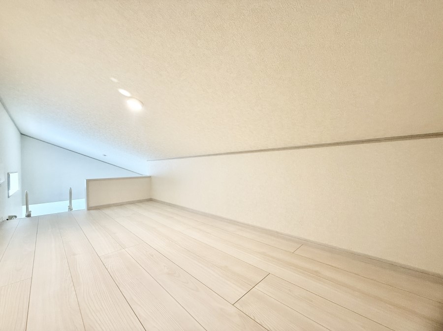 ���̑� ������+���̃X�y�[�X�I���t�g�t���I  