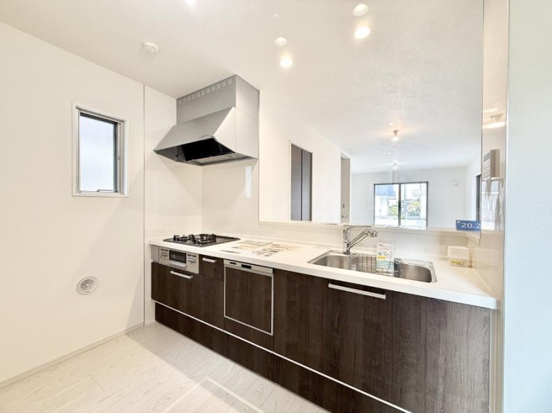 ���̑� ����