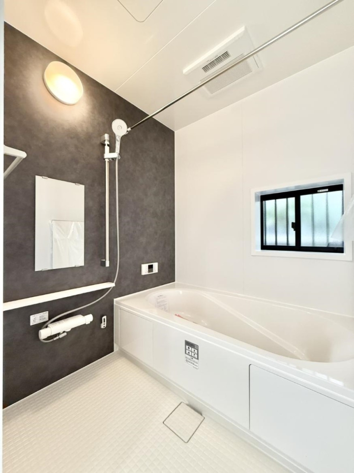 ���� �����������������F�����̕ǖʁA������芰����o�X���[��