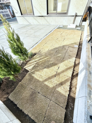 ���̑� �O�ρ��G�߂̈ڂ낢����������A�������������͋C�̉��O���