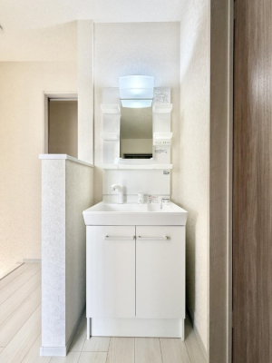 ���ʑ�E���ʏ� ���������̏������X���[�Y�ɂł���L���ł�