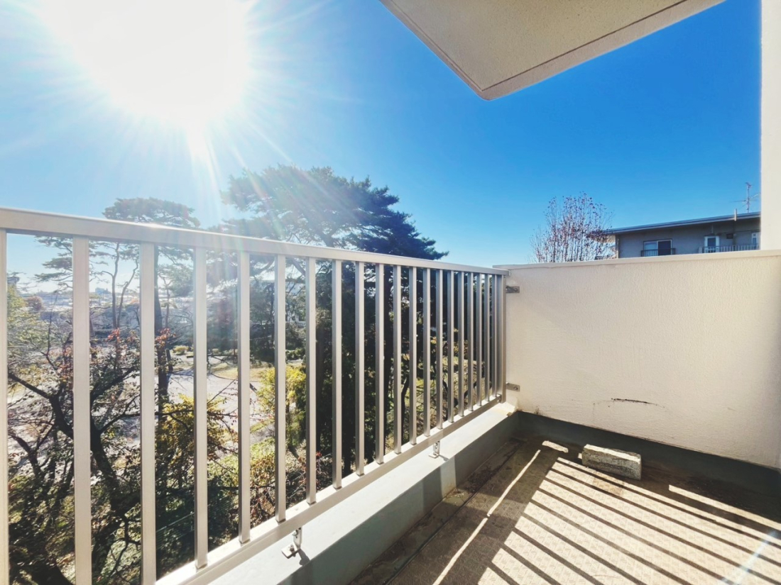 oRj[ LXƂoRj[A炵ɊJvXB