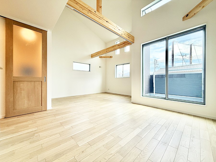 ���̑����� �������������������A���S�n�̂������r���O