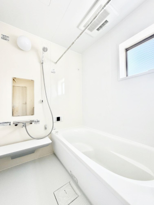 ���� �����������������F�����̕ǖʁA������芰����o�X���[��