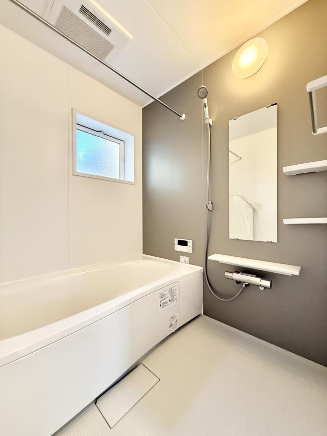 ���� ����