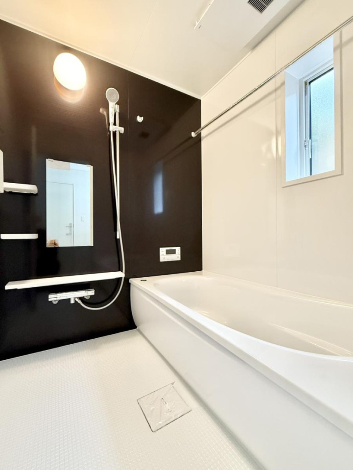 ���� �����������������F�����̕ǖʁA������芰����o�X���[��