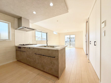 ���̑� ����