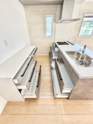 ���̑� ����