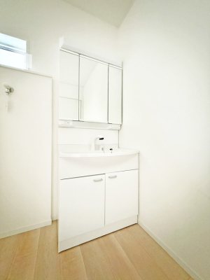 ���ʑ�E���ʏ� �������������Ő������̂�����ʏ�