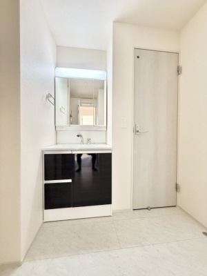 ���ʑ�E���ʏ� ���������̏������X���[�Y�ɂł���L���ł�