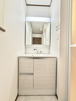 ���ʑ�E���ʏ� ���������̏������X���[�Y�ɂł���L���ł�