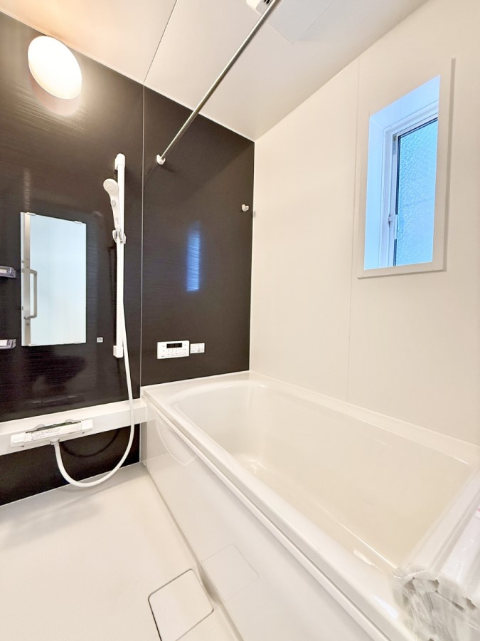 ���� �����������������F�����̕ǖʁA������芰����o�X���[��