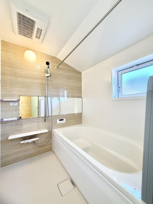 ���� ����