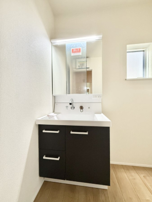 ���ʑ�E���ʏ� ���������̏������X���[�Y�ɂł���L���ł�