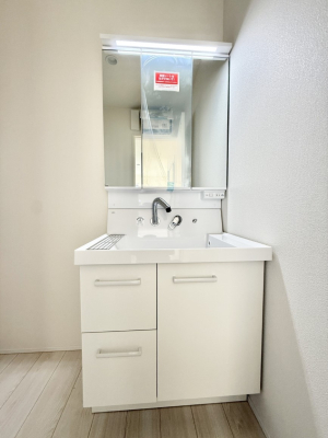 ���ʑ�E���ʏ� ���������̏������X���[�Y�ɂł���L���ł�