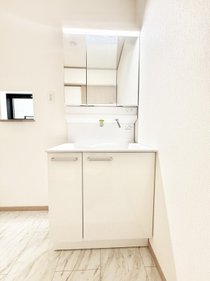 ���ʑ�E���ʏ� ���������̏������X���[�Y�ɂł���L���ł�