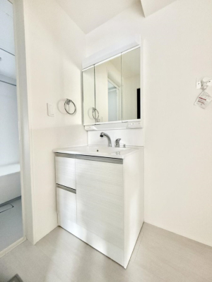 ���ʑ�E���ʏ� �������������Ő������̂�����ʏ�