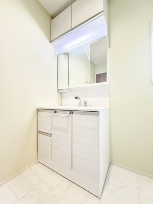 ���ʑ�E���ʏ� ���������̏������X���[�Y�ɂł���L���ł�