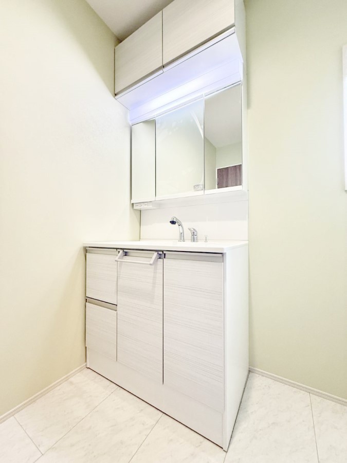 ���ʑ�E���ʏ� ���������̏������X���[�Y�ɂł���L���ł�