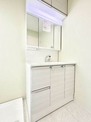 ���ʑ�E���ʏ� ���������̏������X���[�Y�ɂł���L���ł�