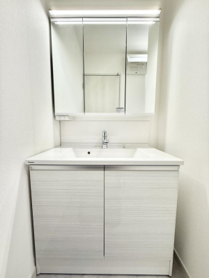 ���ʑ�E���ʏ� �������������Ő������̂�����ʏ�