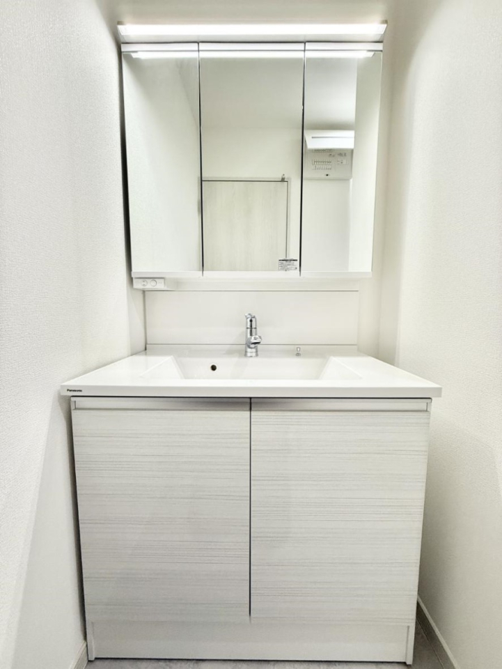 ���ʑ�E���ʏ� �������������Ő������̂�����ʏ�