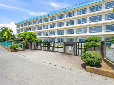 ӊ wZ 800m ˎs_cwZ