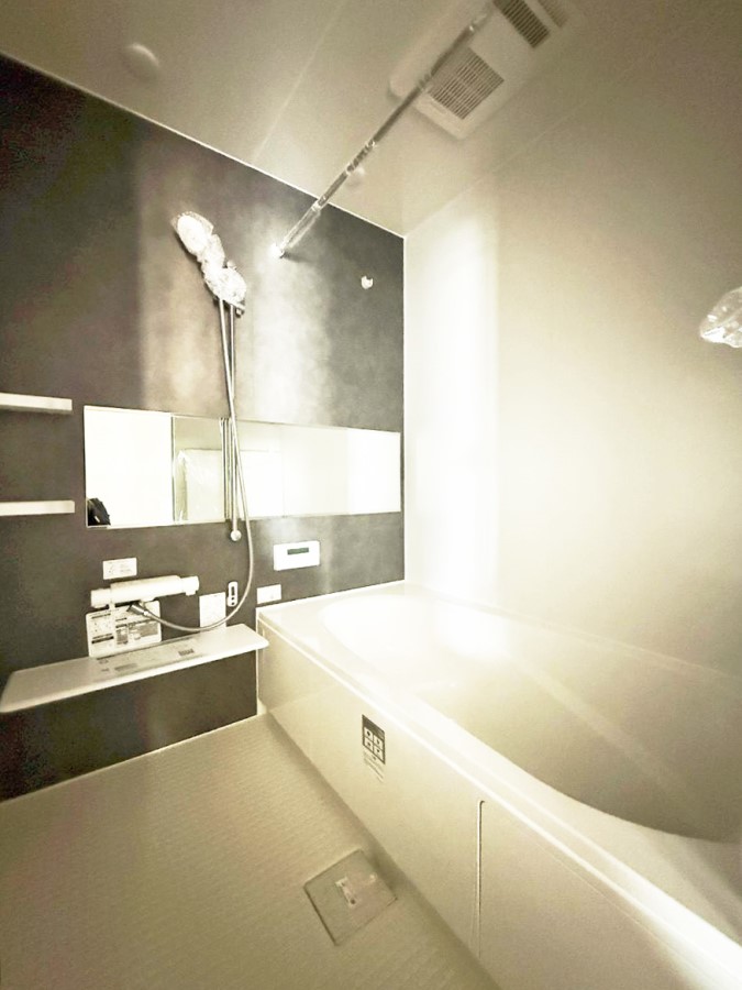 ���� �����������������F�����̕ǖʁA������芰����o�X���[��