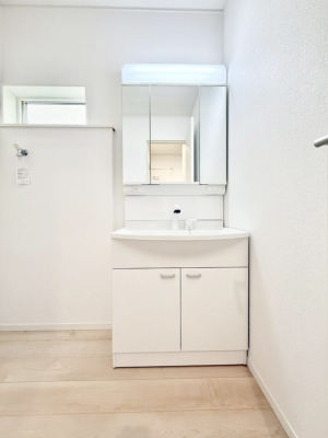 ���ʑ�E���ʏ� ���������̏������X���[�Y�ɂł���L���ł�