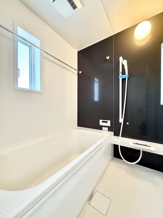 ���� �����������������F�����̕ǖʁA������芰����o�X���[��