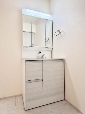 ���ʑ�E���ʏ� ���������̏������X���[�Y�ɂł���L���ł�