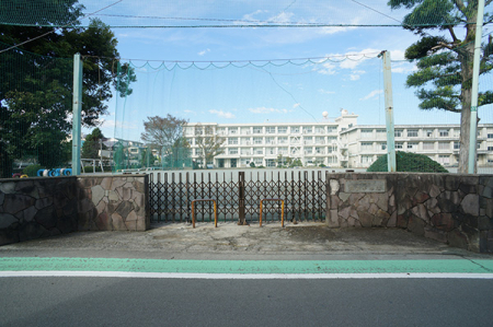 ӊ wZ 290m 쑫s⌴wZ