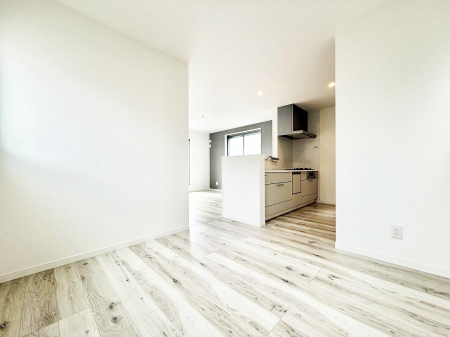 ���̑����� ����