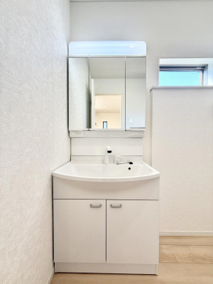 ���ʑ�E���ʏ� ���������̏������X���[�Y�ɂł���L���ł�