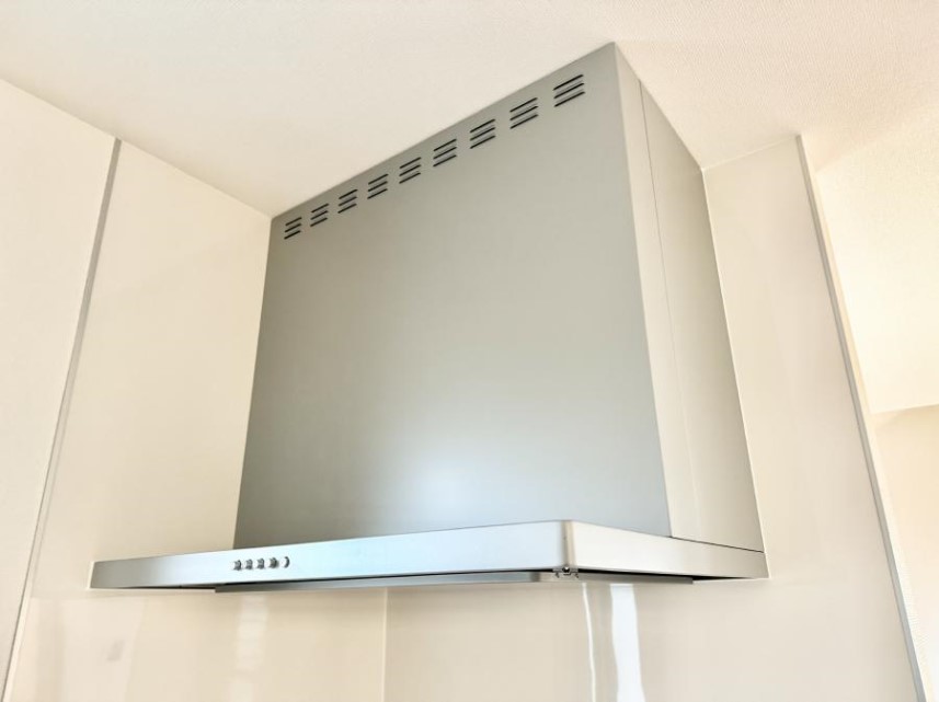 ̑ ݔ̏CCɗUAIɔrł܂B