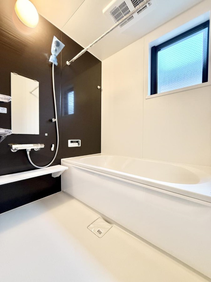 ���� ����