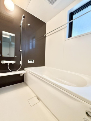 ���� ����