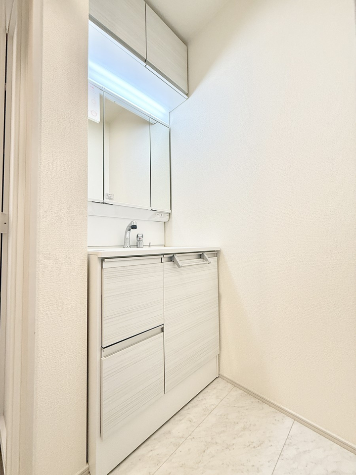 ���ʑ�E���ʏ� ���������̏������X���[�Y�ɂł���L���ł�