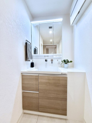 ���ʑ�E���ʏ� �������������Ő������̂�����ʏ�