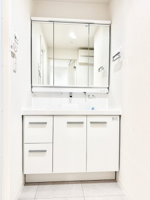 ���ʑ�E���ʏ� �������������Ő������̂�����ʏ�