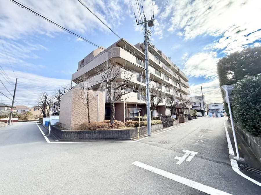 ���n�O�ώʐ^ �O�ρ��D��ȃ��C�����A�������������Ă܂�