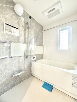 ���� �����������������F�����̕ǖʁA������芰����o�X���[��