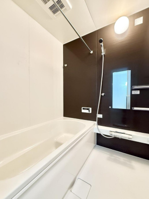 ���� �����������������F�����̕ǖʁA������芰����o�X���[��