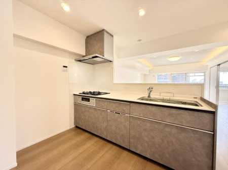 �L�b�`�� �������L���C�ɕЕt���A�g���₷���L�b�`��