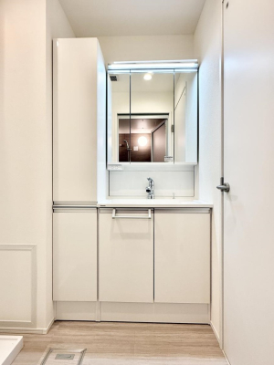 ���ʑ�E���ʏ� ���������̏������X���[�Y�ɂł���L���ł�