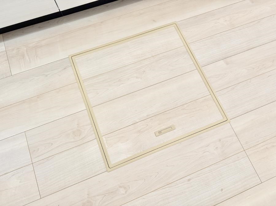 ̑ ݔBꂽ[Xy[XŉƑŜXbL