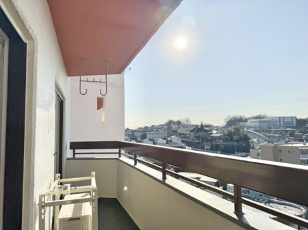 �o���R�j�[ ������ �G�߂̈ڂ낢����������J���I�ȋ�Ԃł�