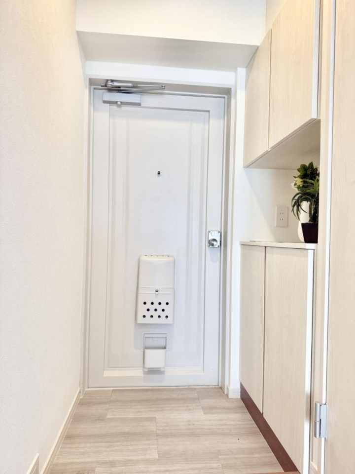 ���� ������ ��������n�܂����A�������萮��������