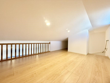 ���̑� ������+���̃X�y�[�X�I���t�g�t���I  